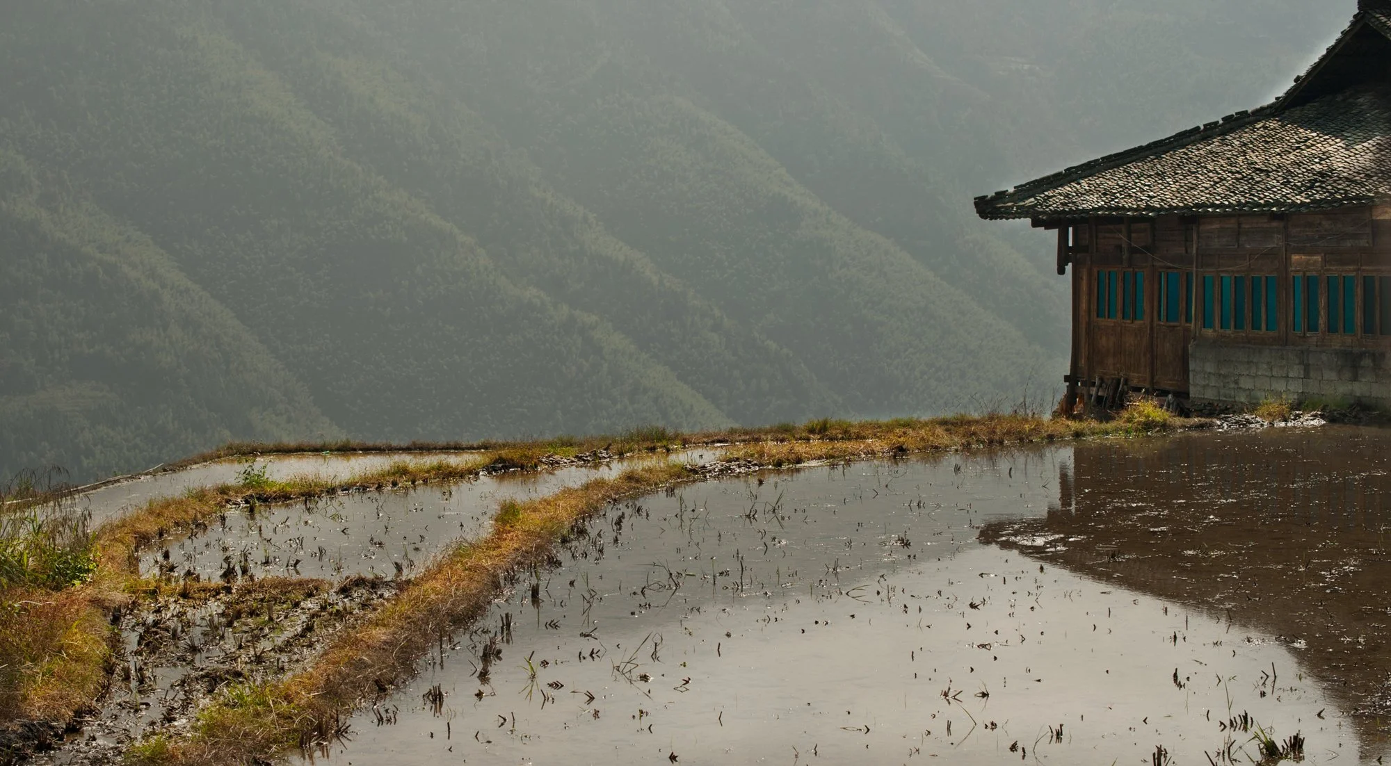 2011_china_longsheng_06.jpg