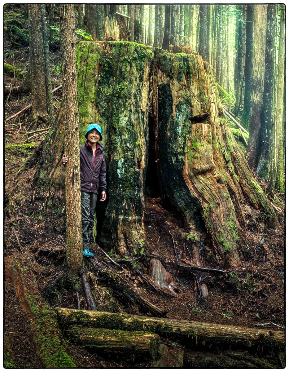 The short hike from the Telegraph Cove marina to the View point