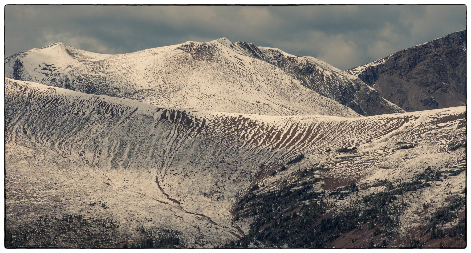 Bold hills hike.