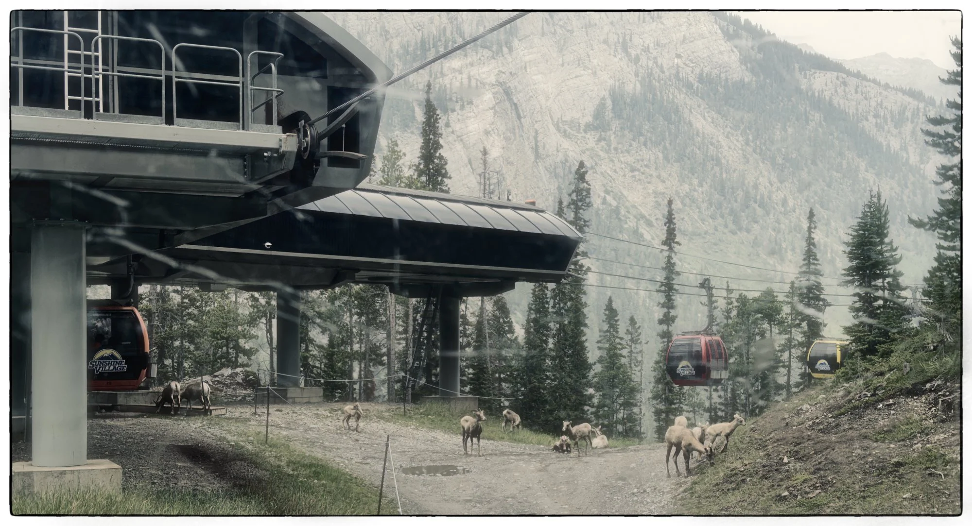 Sunshine Village, riding the gondola.