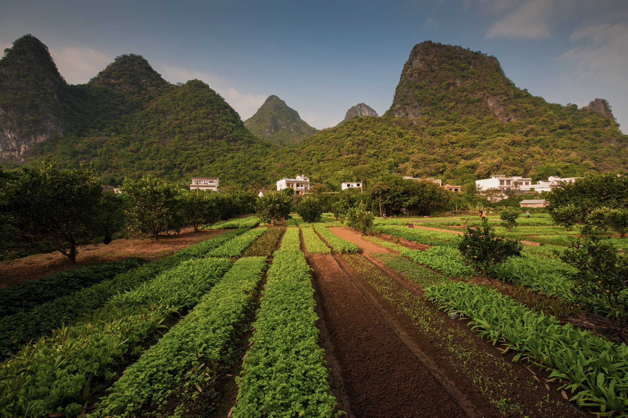 2011_china_yangshuo_15.jpg