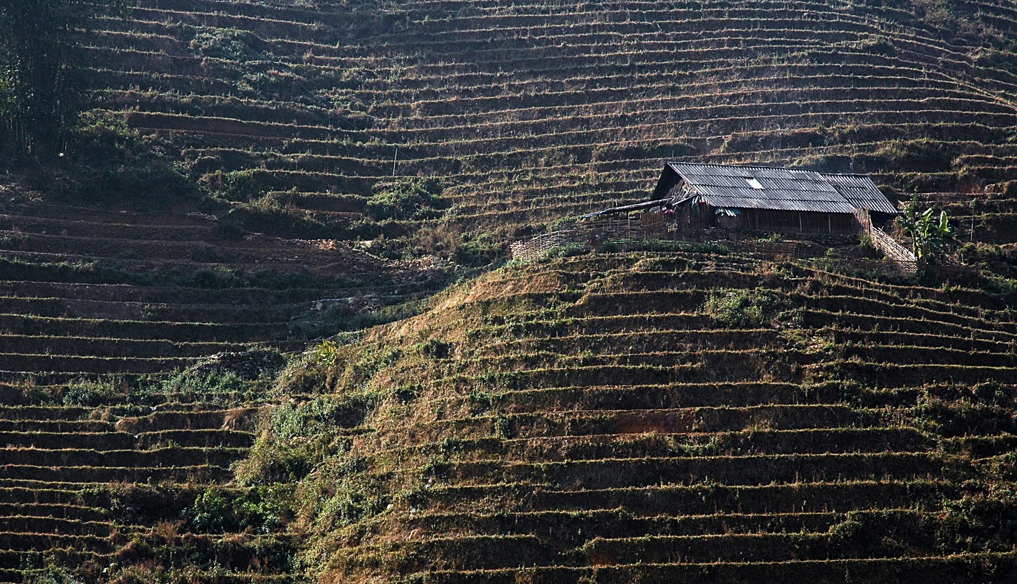 2008_sapa_16.jpg