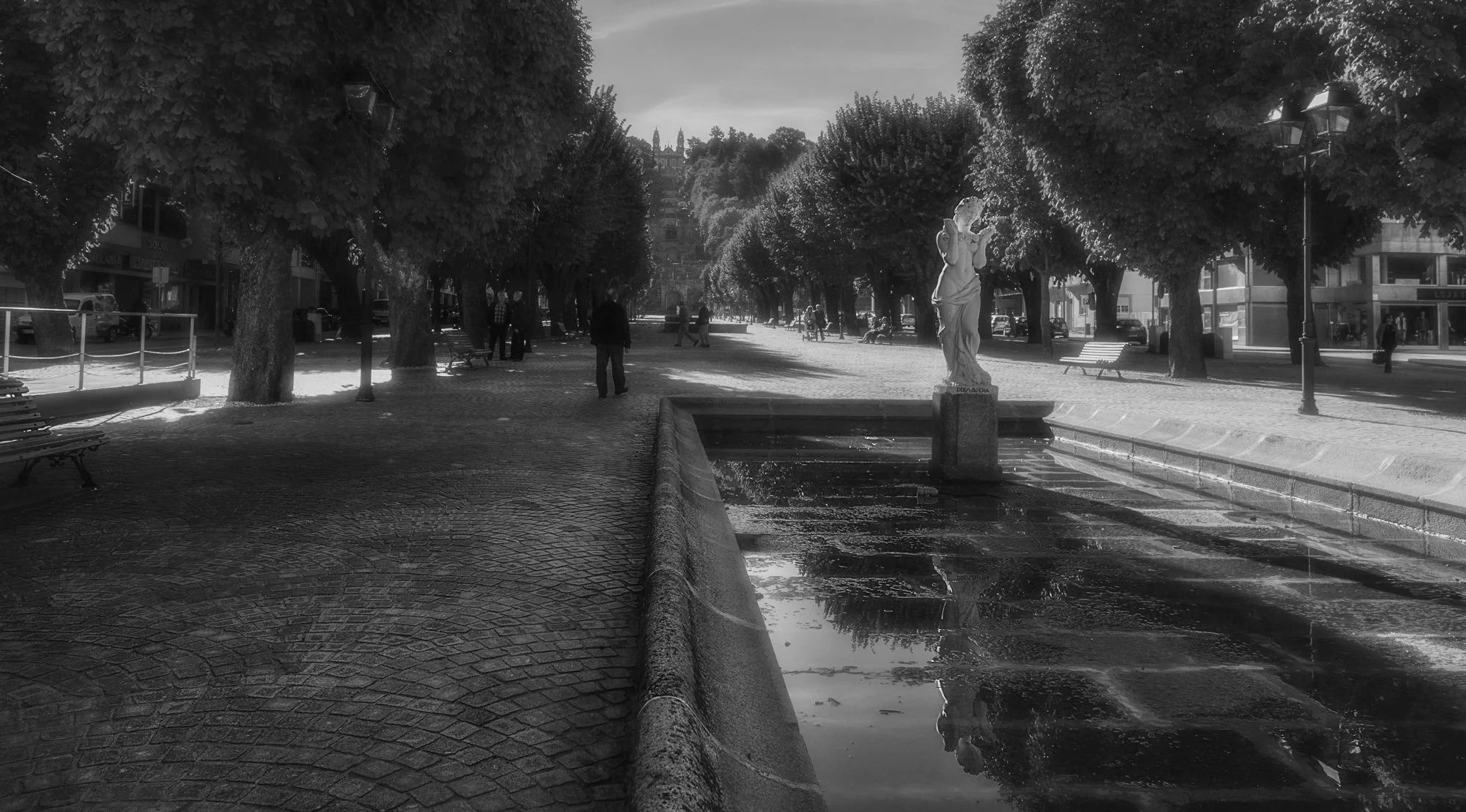 Lamego, Nossa Senhora dos Remédios.