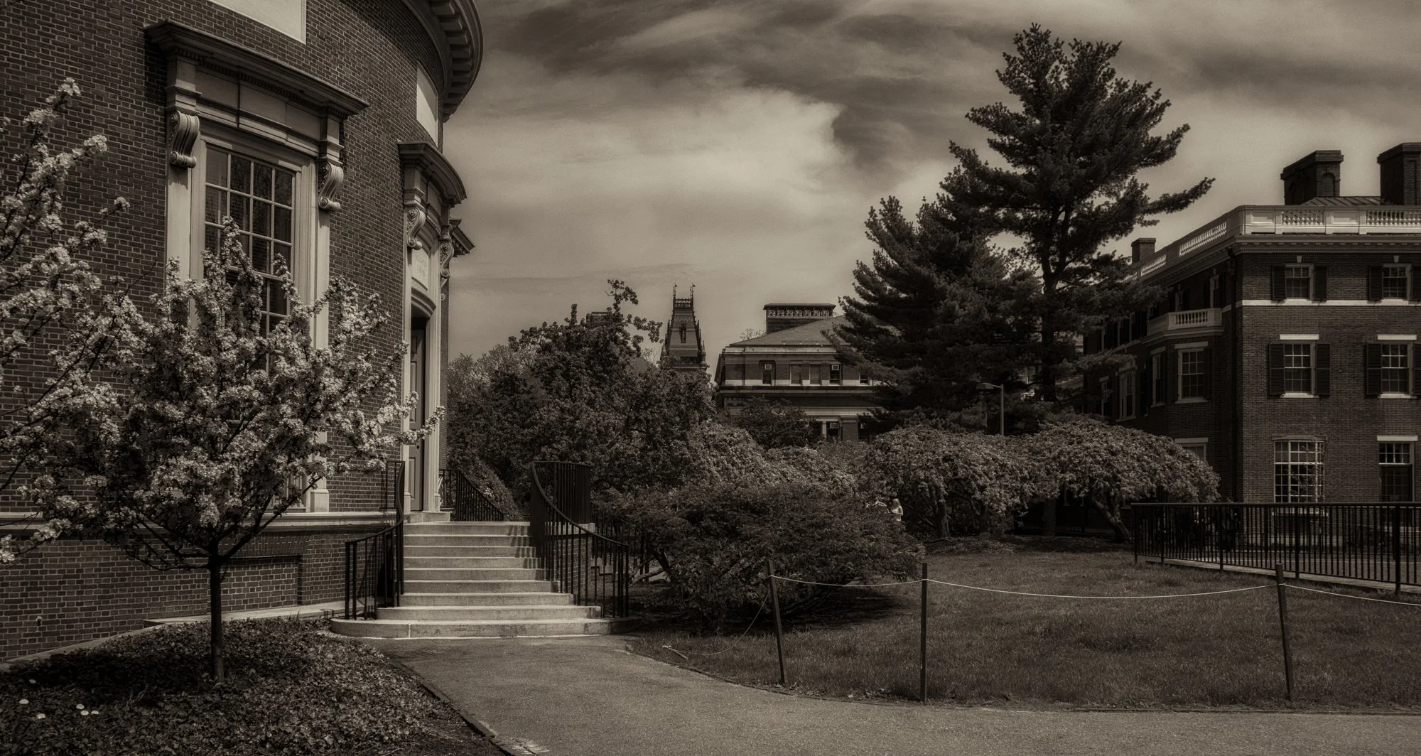Harvard University grounds.