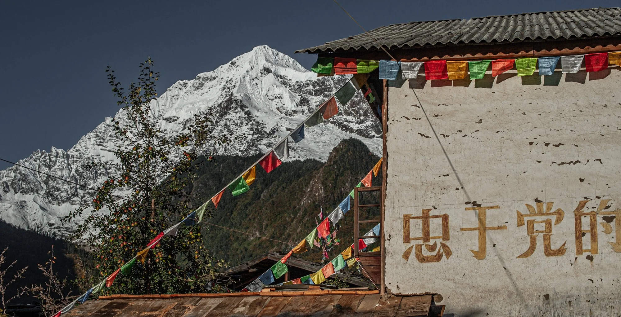 2011_china_yuben_18.jpg