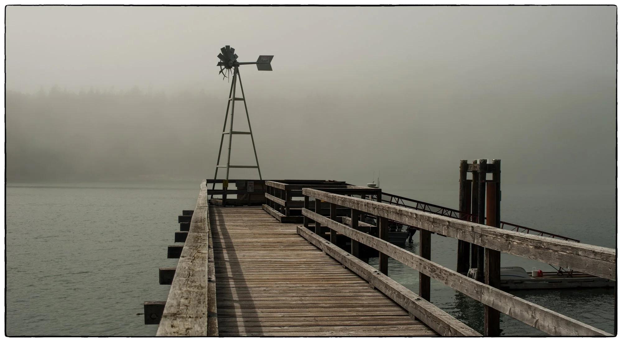 2012_vancouver_island25.jpg