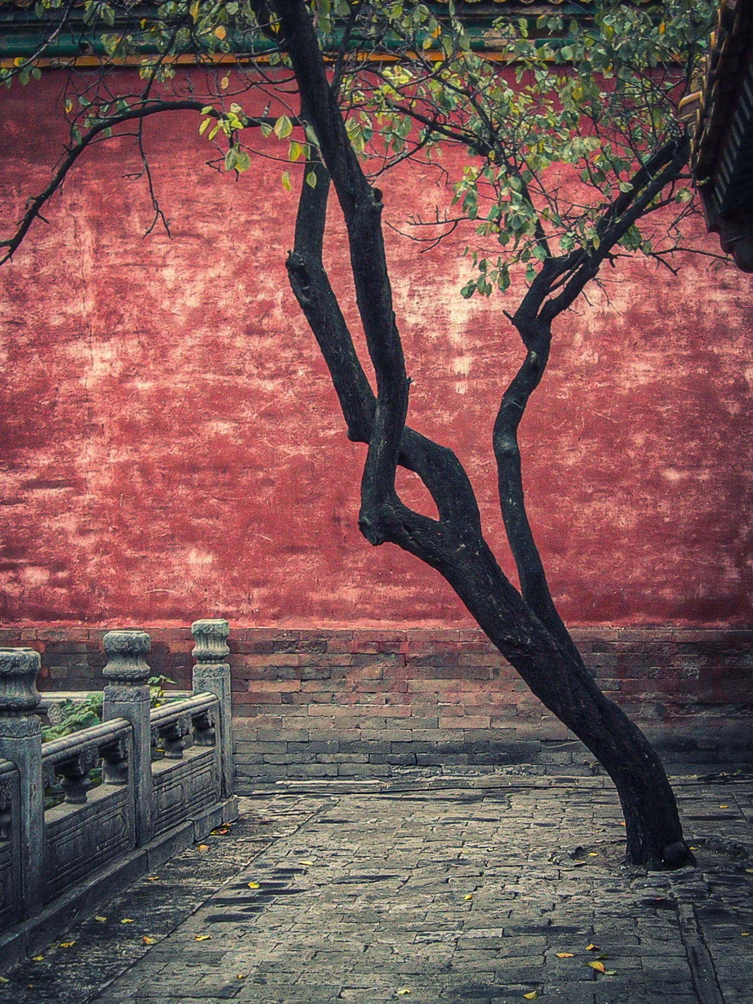 2004_china_04.jpg
