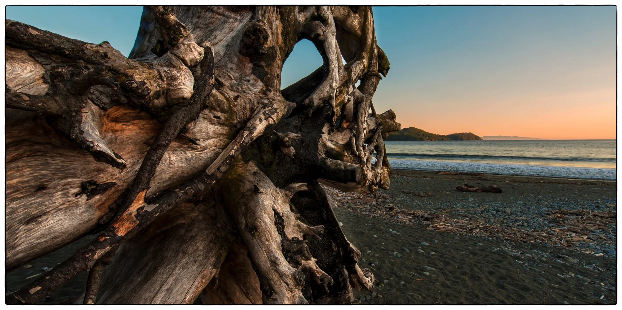 2012_vancouver_island09.jpg