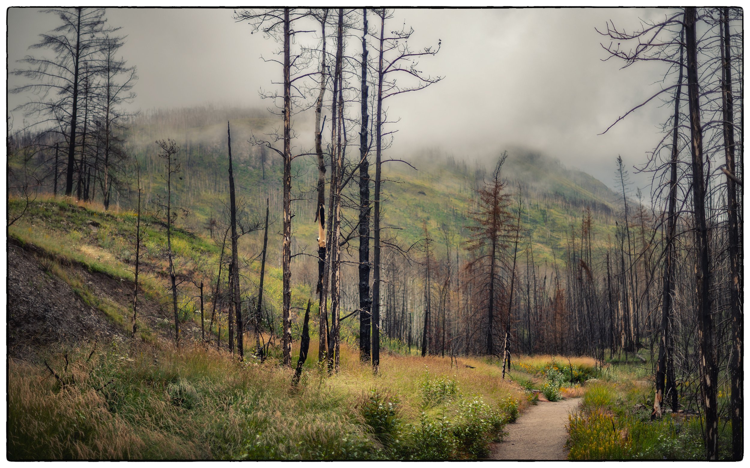  Old Fort hike