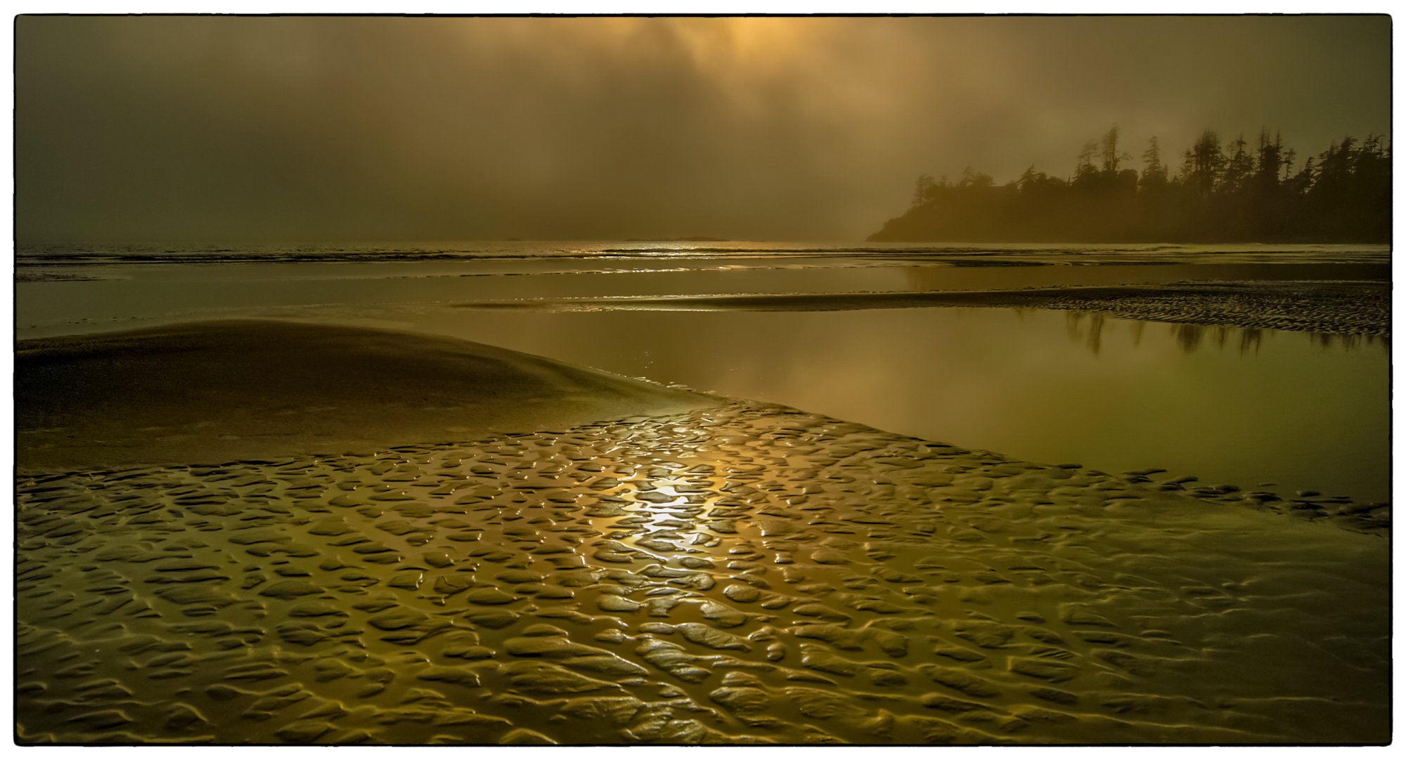 2012_vancouver_island16.jpg