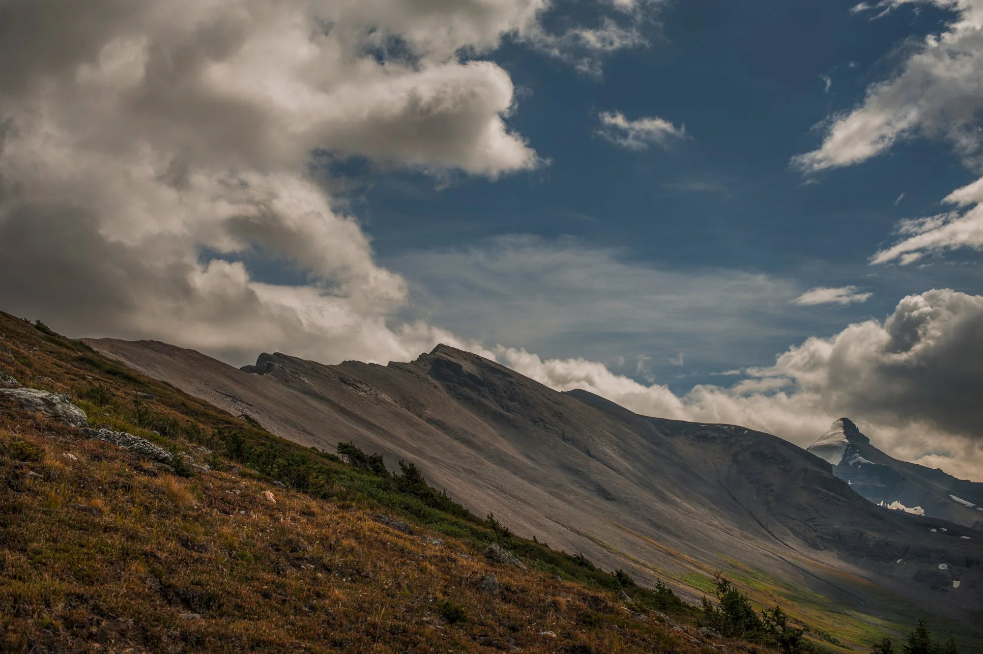 Project_20130824_0002.jpg