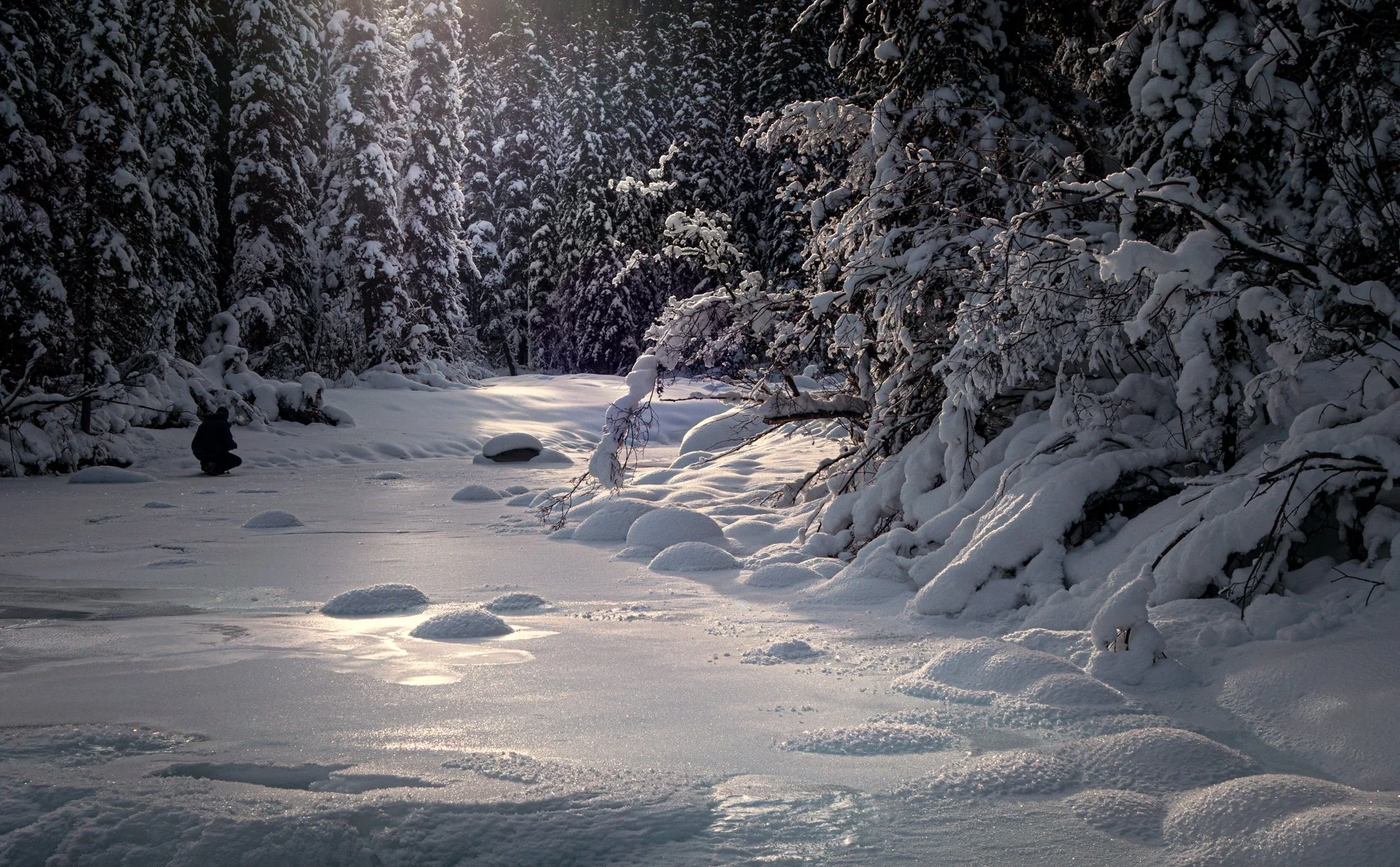 The Maligne Creek. The light was quite spectacular.