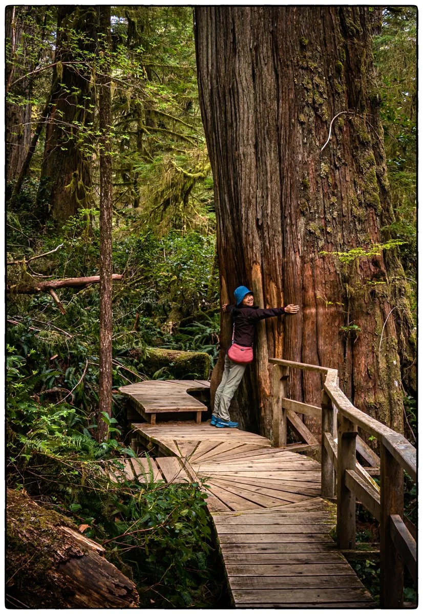 Pacific Rim National Park close by Tofino