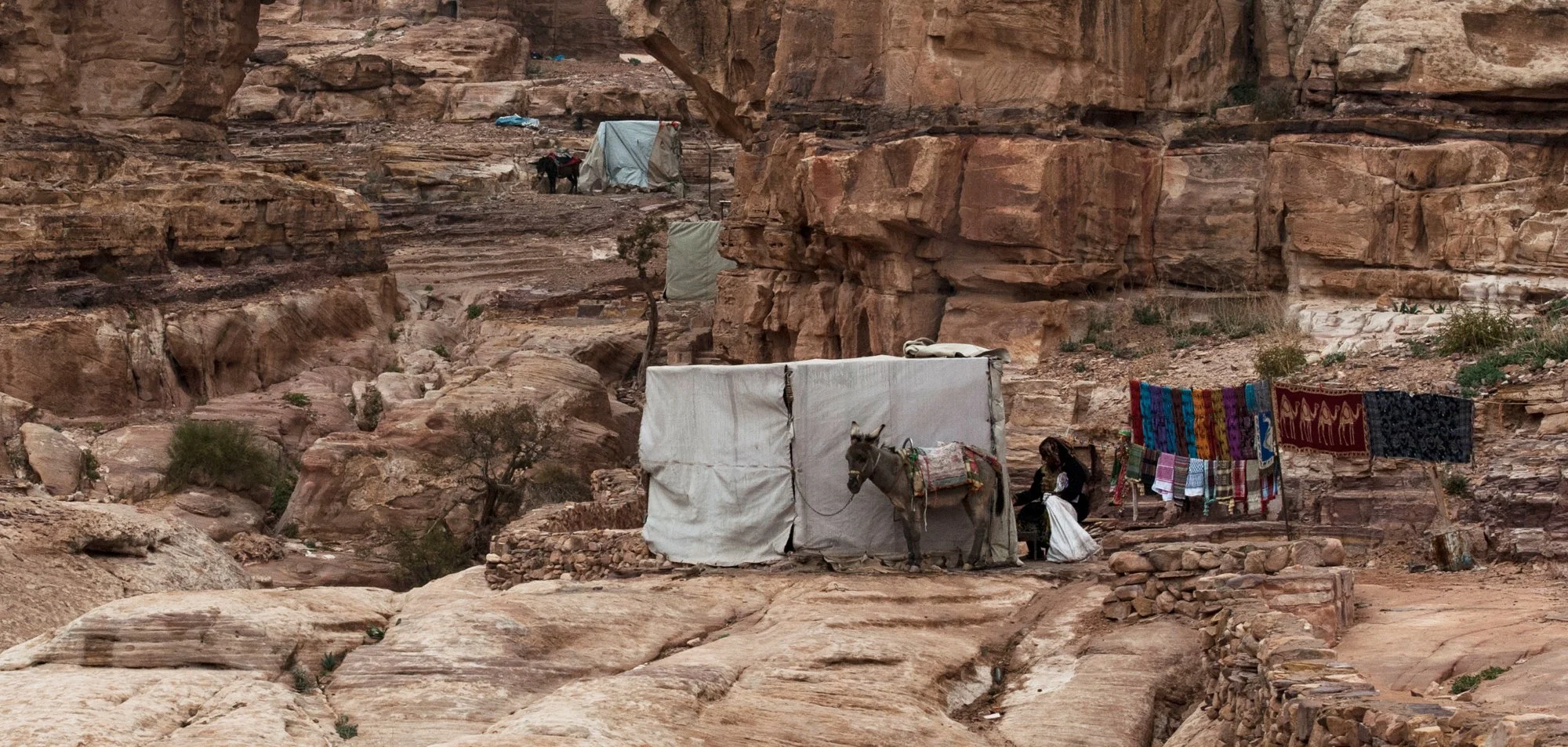 2017_jordan_29.jpg