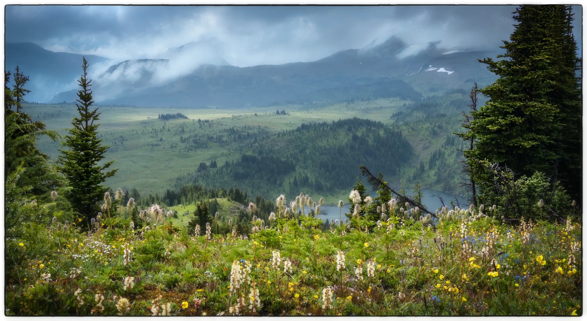 Sunshine Meadows.