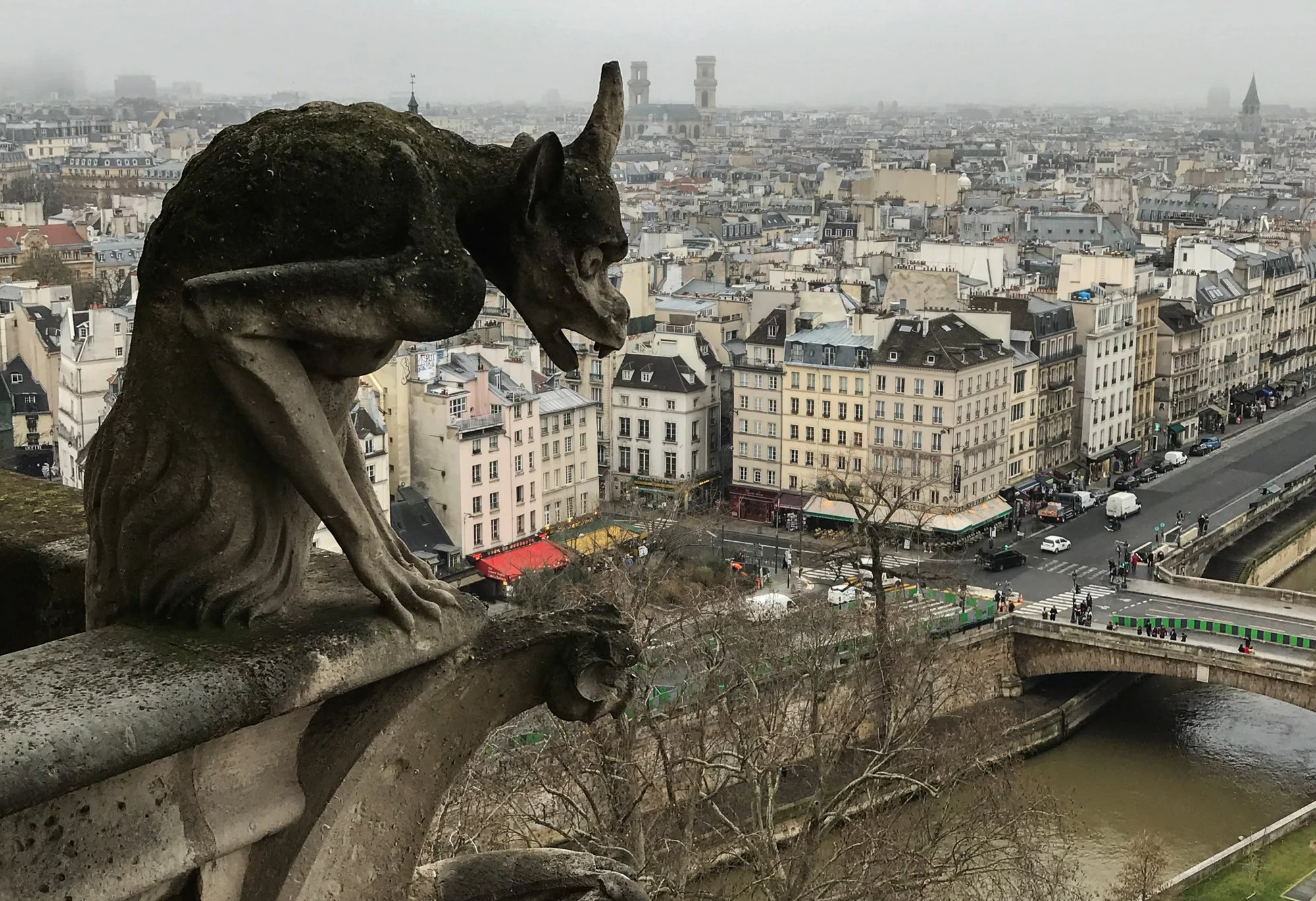 Gargoyle on top of the Notre-Dame.