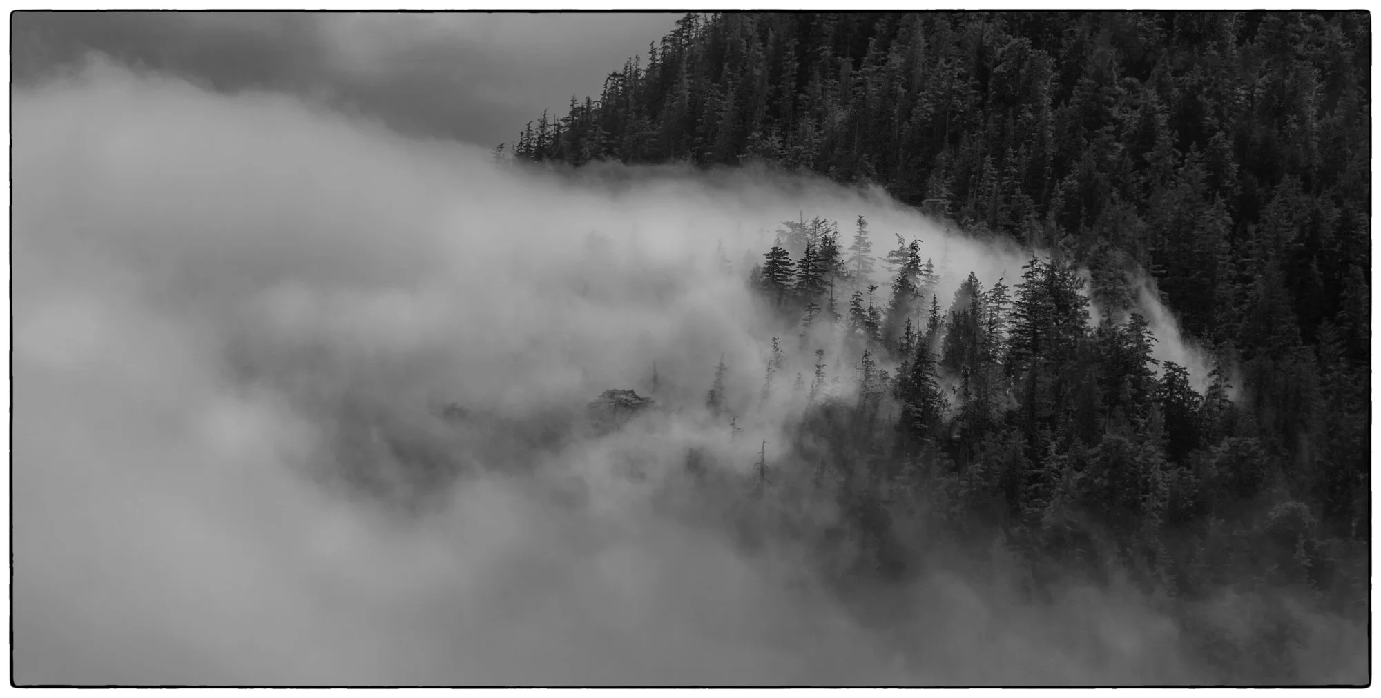 2012_vancouver_island27.jpg