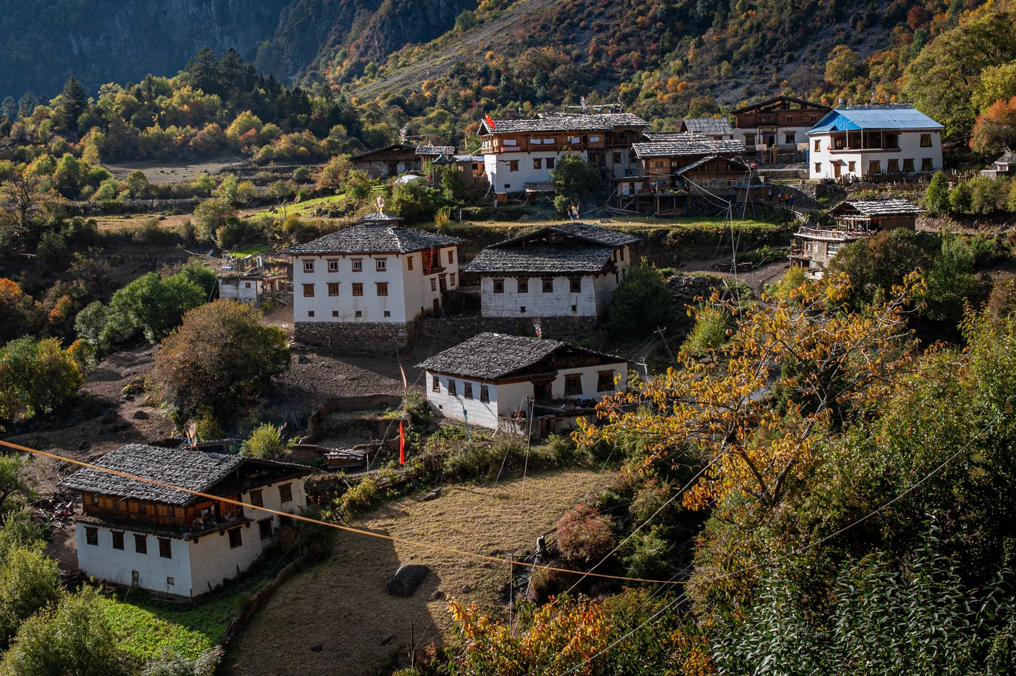 2011_china_yuben_11.jpg