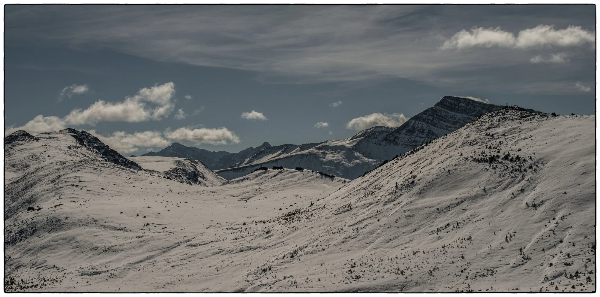 2012_jasper_21.jpg