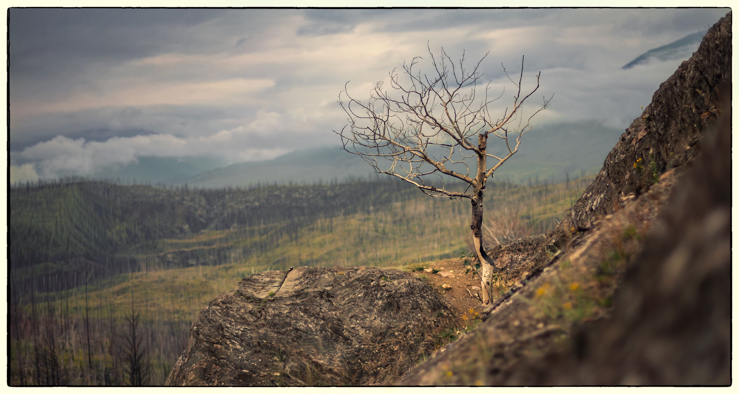  Old Fort hike