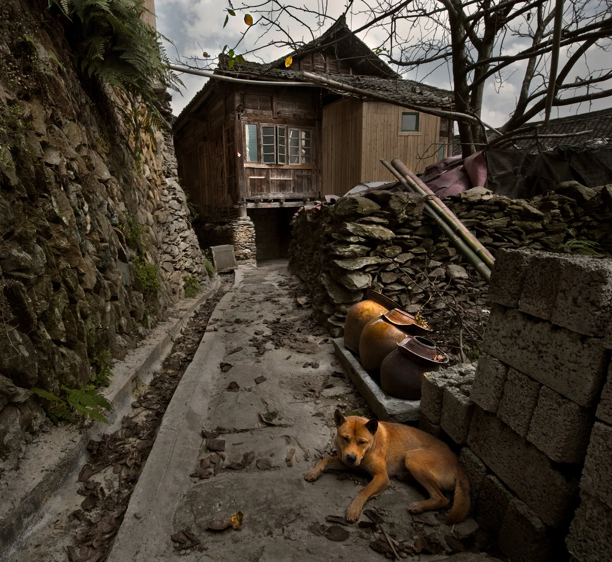 2011_china_longsheng_09.jpg