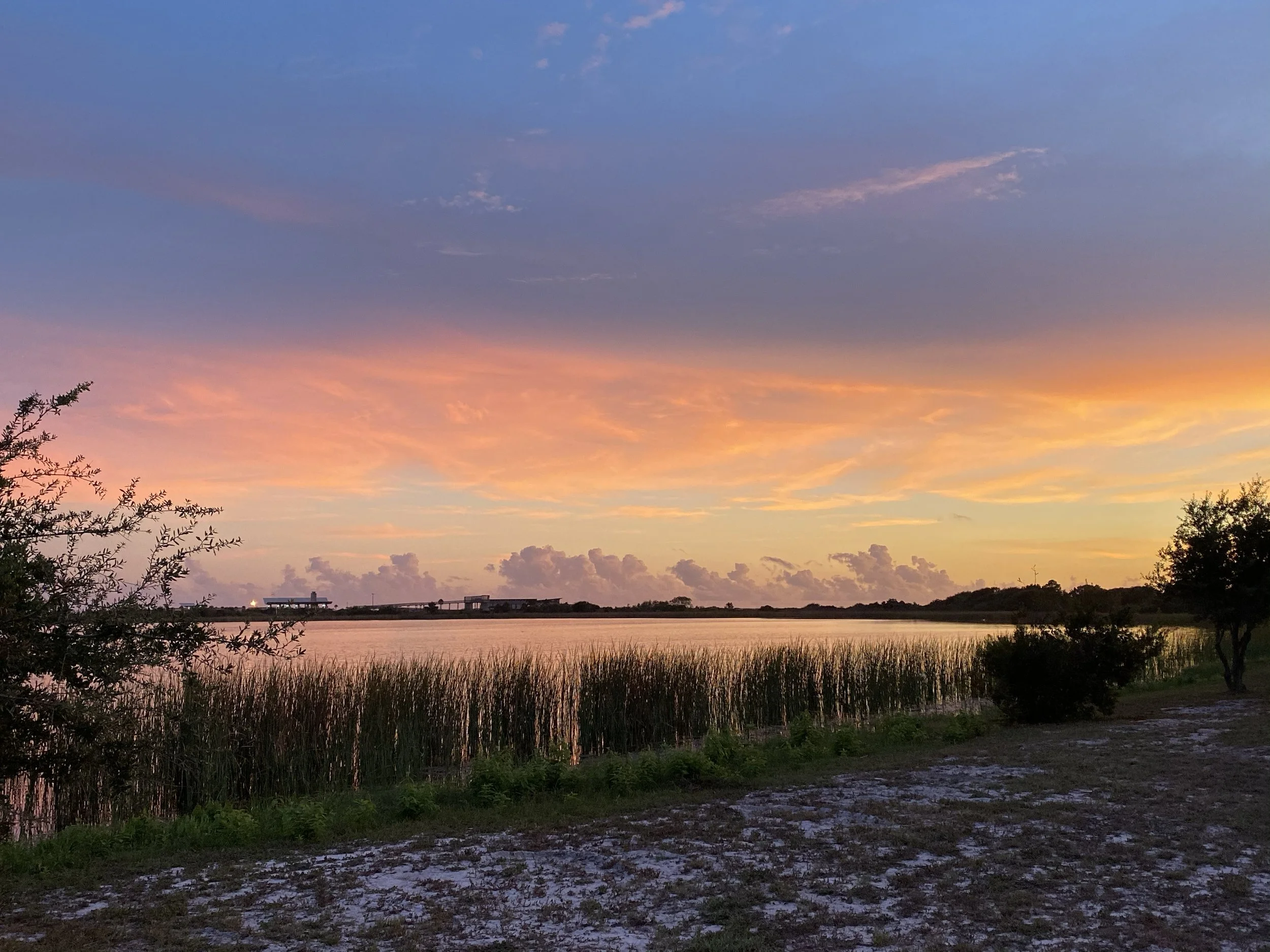 A sunset over a body of water with colorful sky and clouds, trees and grass in the foreground, and distant buildings or structures.
