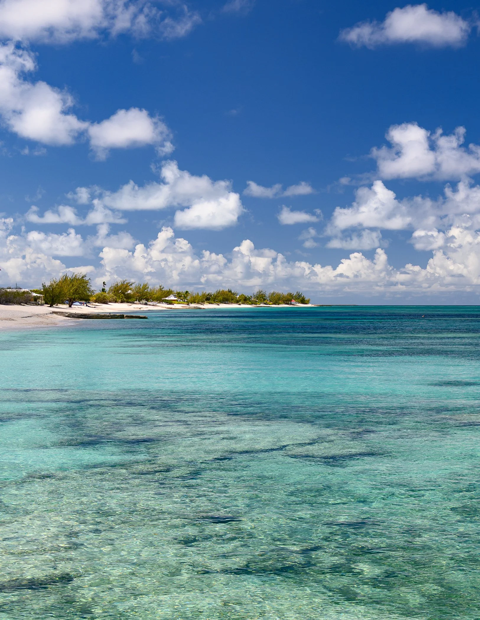 Clear turquoise sea water near a sandy beach with trees, under a blue sky with scattered white clouds.