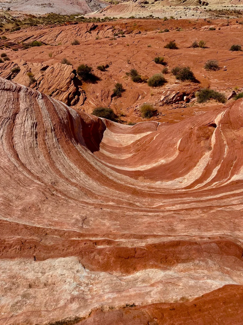 Red and white layered rock formations in a desert landscape with sparse vegetation.