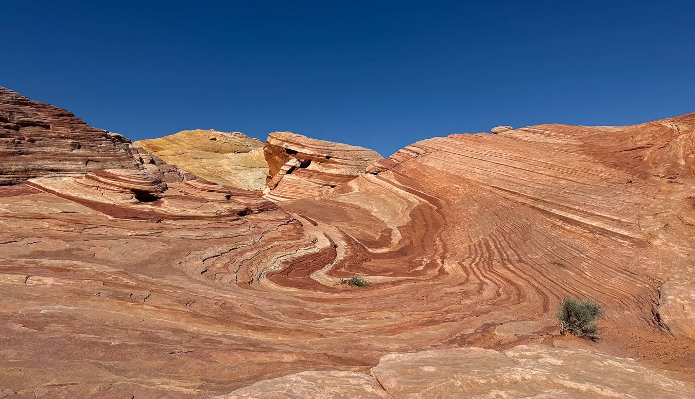 Colorful, layered sandstone rock formations against a clear blue sky with small desert plants.