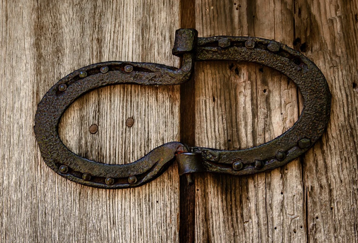 Two horseshoes forming a hinge on weathered wooden surface.