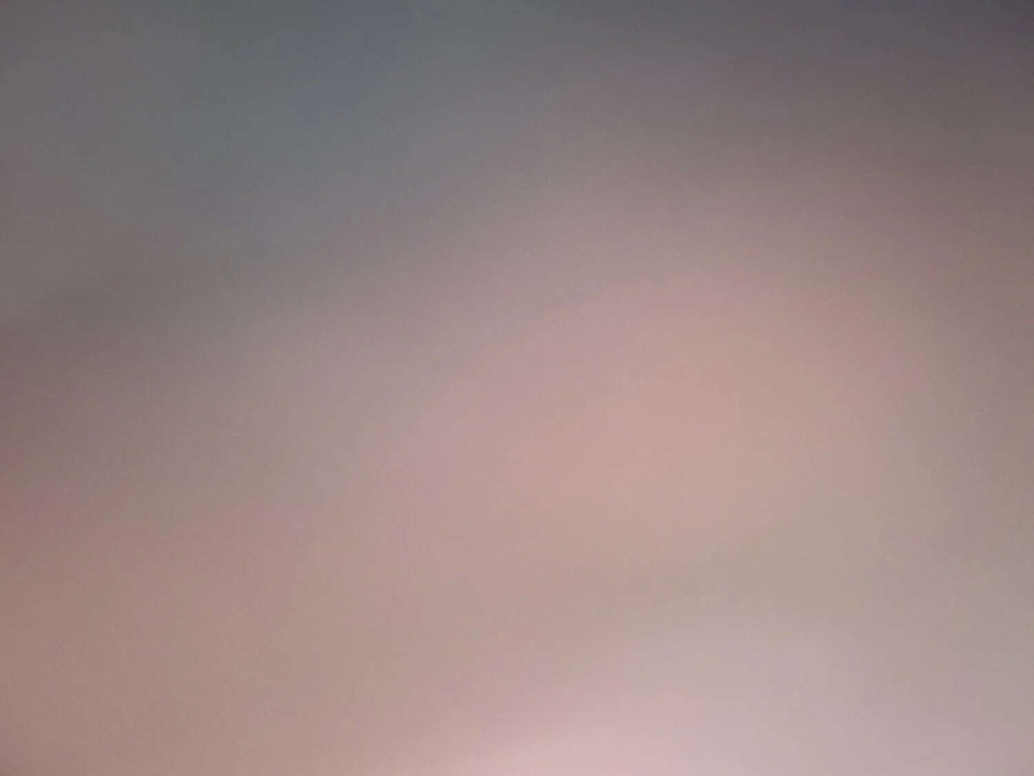 file20261004-299-ldjwr0.jpg