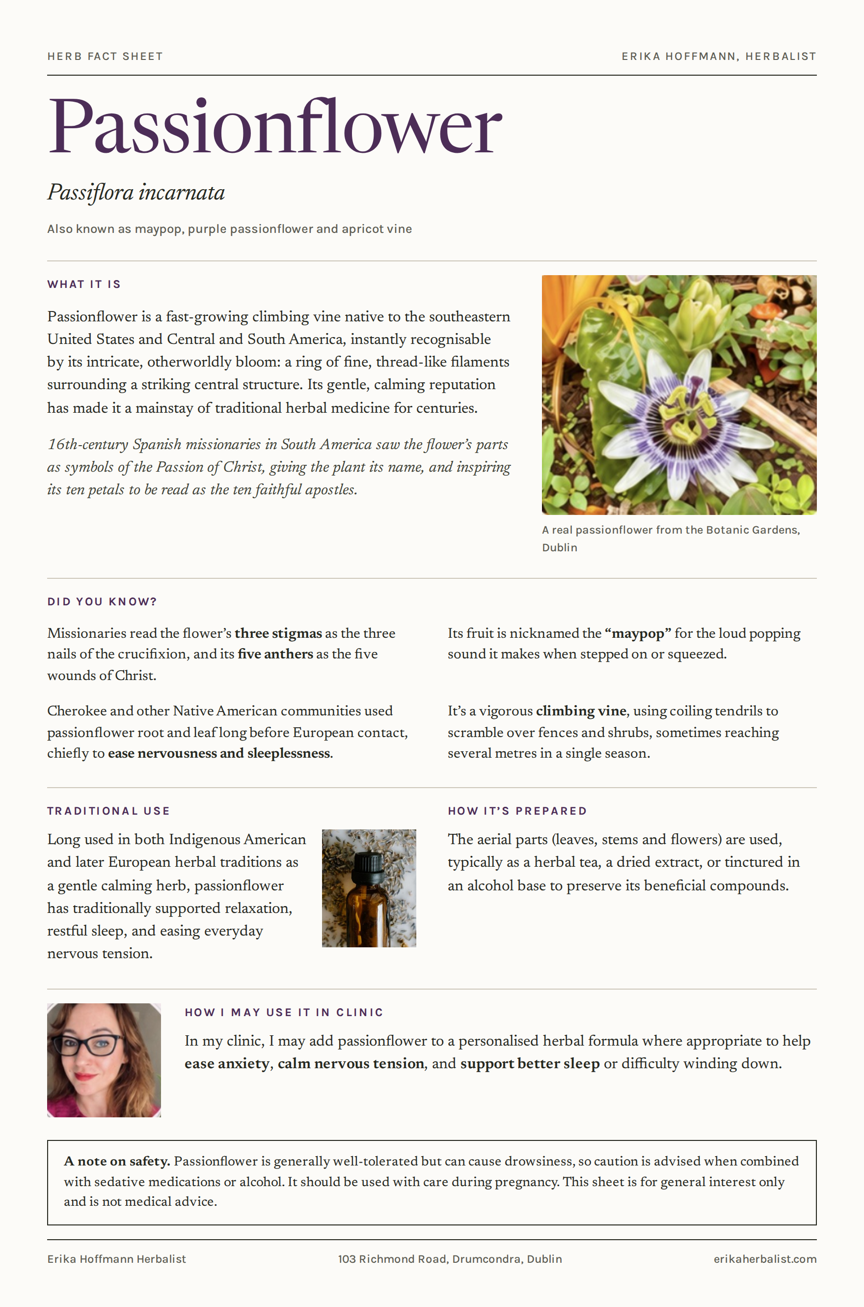 Too Wired to Sleep? Passionflower Would Like a Word