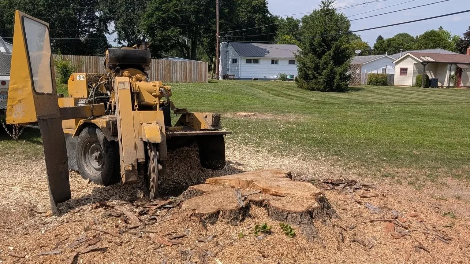 A yellow stump grinder cutting through a large tree stump on a lawn in a residential neighborhood, with houses and trees in the background.