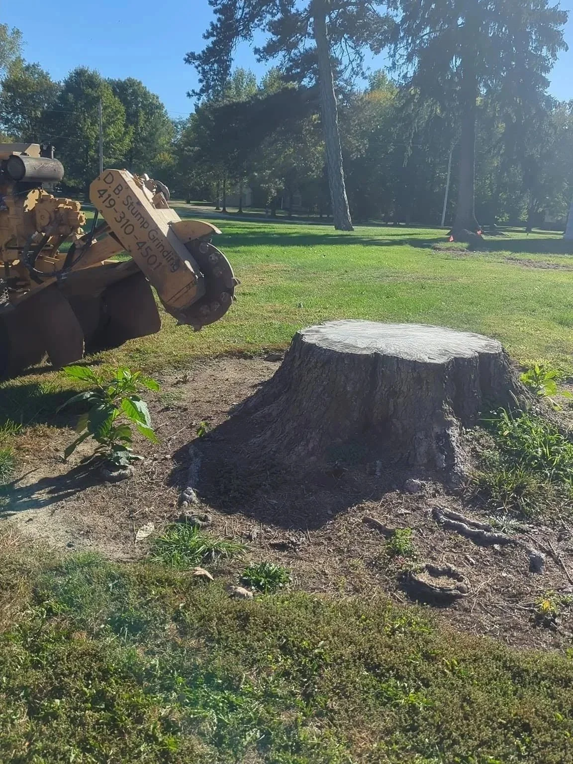 A tree stump on the ground in a park with green grass and trees in the background. An old piece of machinery is partially visible on the left side of the image.