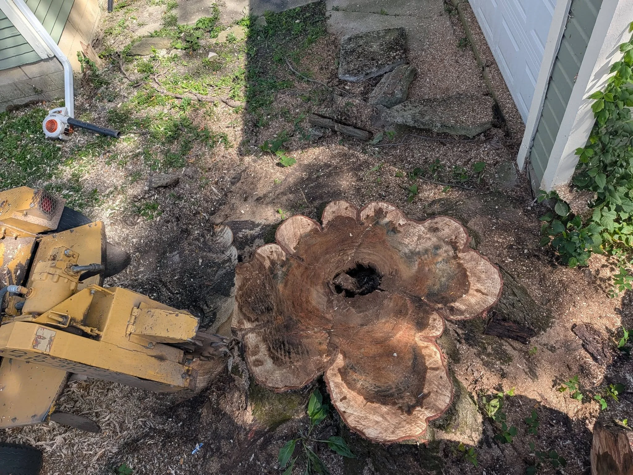 A close-up view of a gardening area with tree stumps, soil, and small plants. There's a yellow piece of construction equipment and some large rocks or concrete pieces on the ground.
