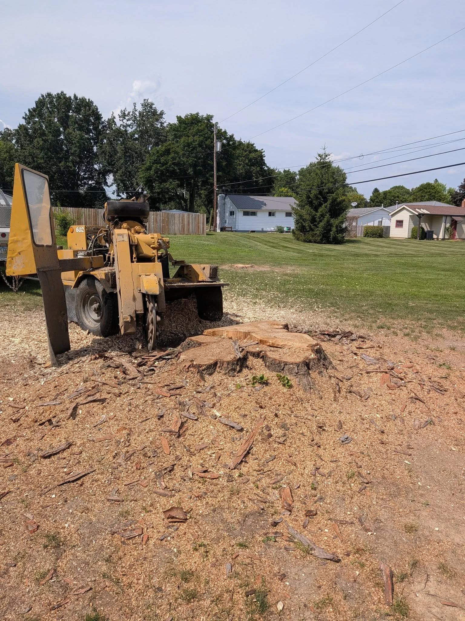 A lawn mower is cutting a grassy area with large tree stumps and scattered wood chips in foreground, residential houses and trees in background, under a clear sky.