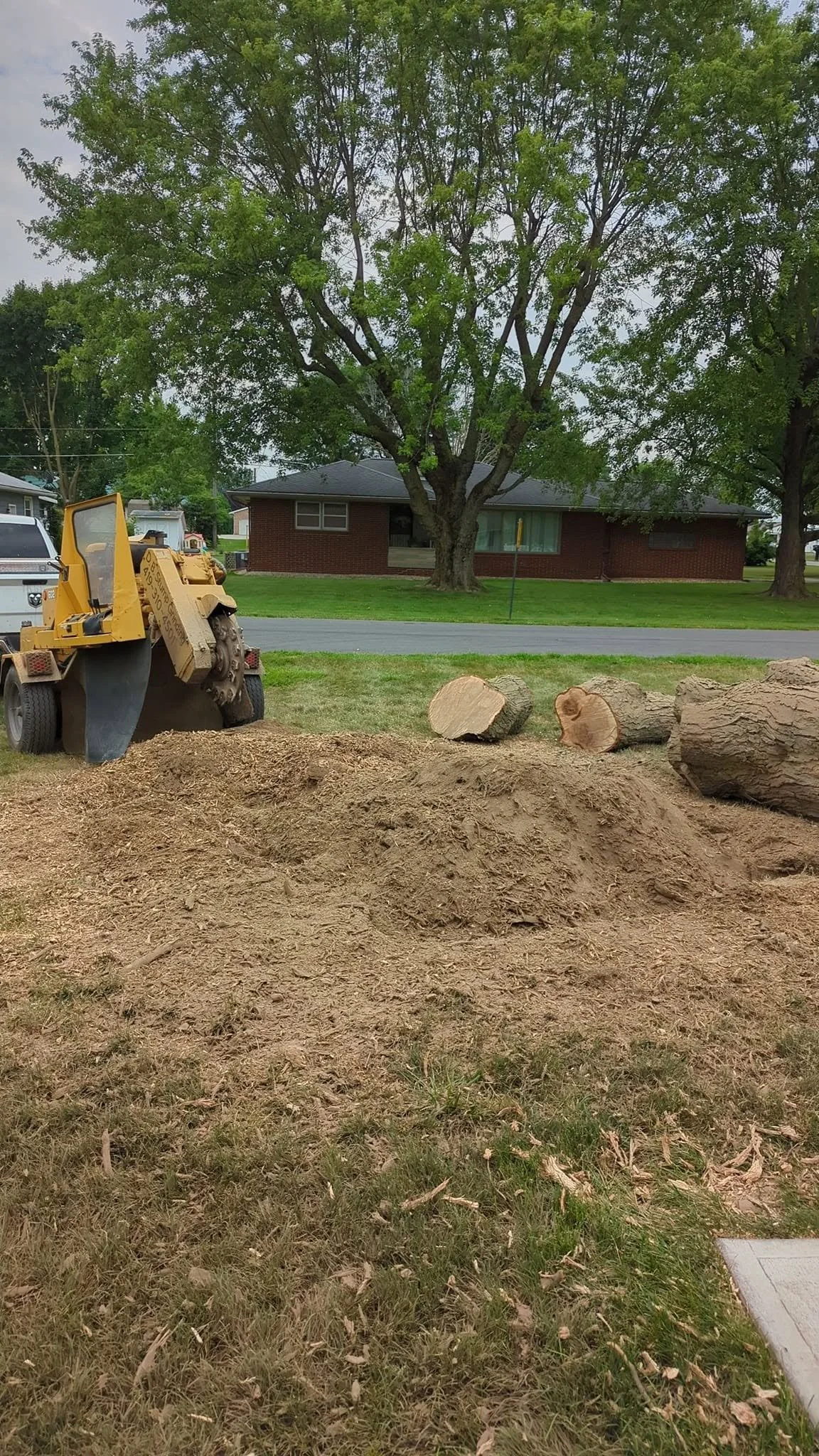 A yard with a large tree, a pile of dirt, and cut logs. A construction or landscaping vehicle is parked nearby. There is a brick house and a street in the background.