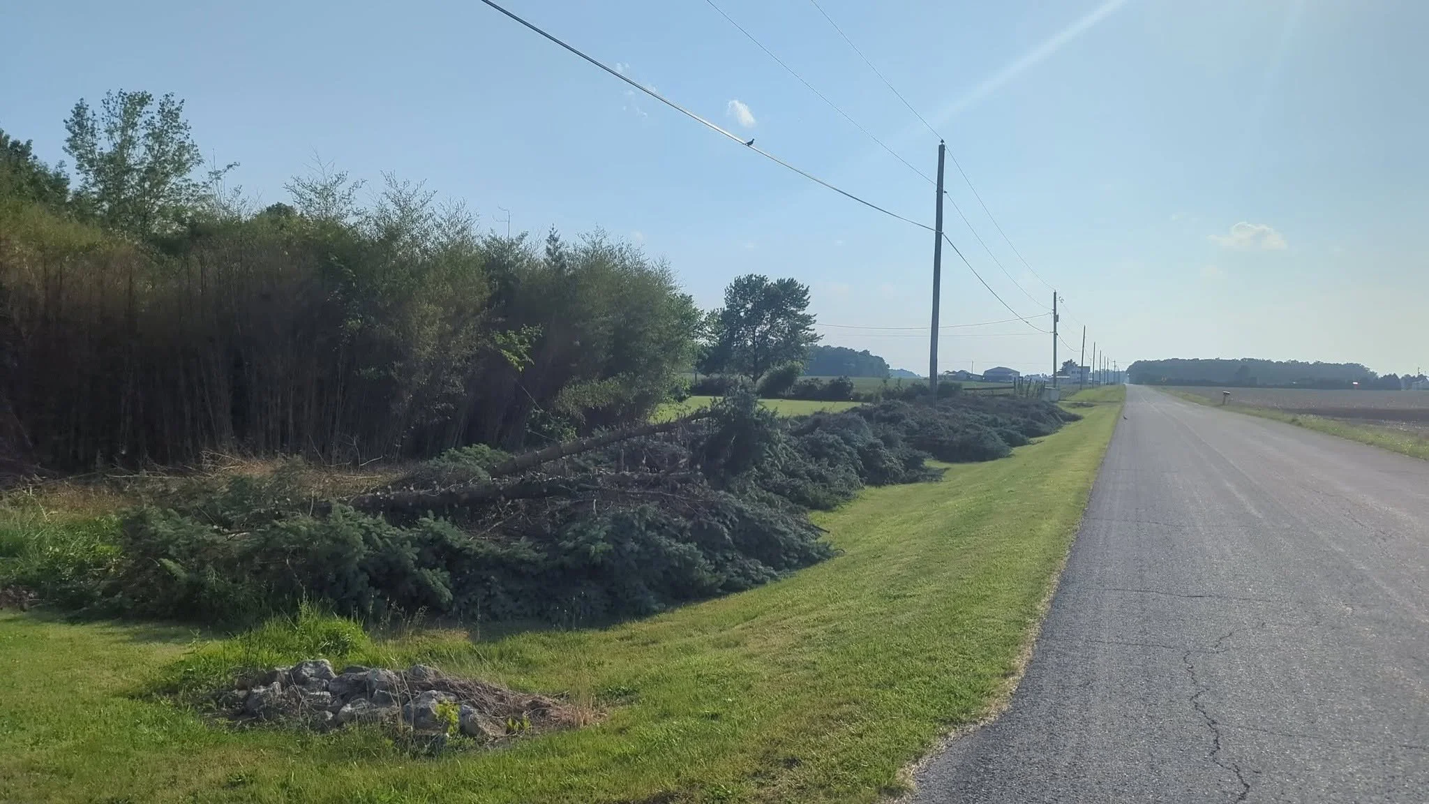 A rural road with utility poles on the right side, green grass along the roadside, and a fallen tree across the grass and part of the road on a sunny day with blue sky and a few scattered clouds.