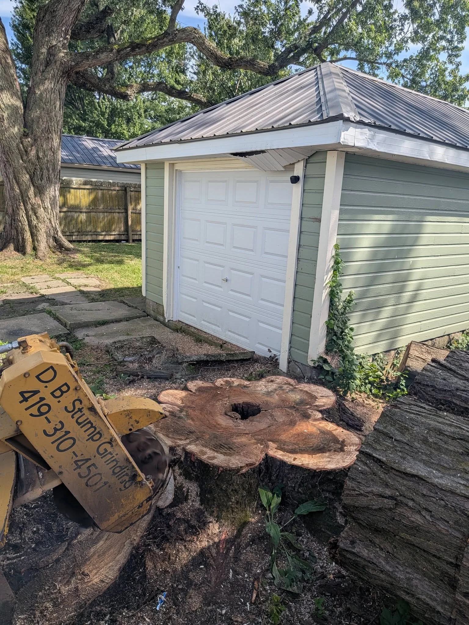 Large fallen tree logs on the ground with a construction sign in the foreground, a small green house with a white garage door, and a large tree with wide branches in the background.