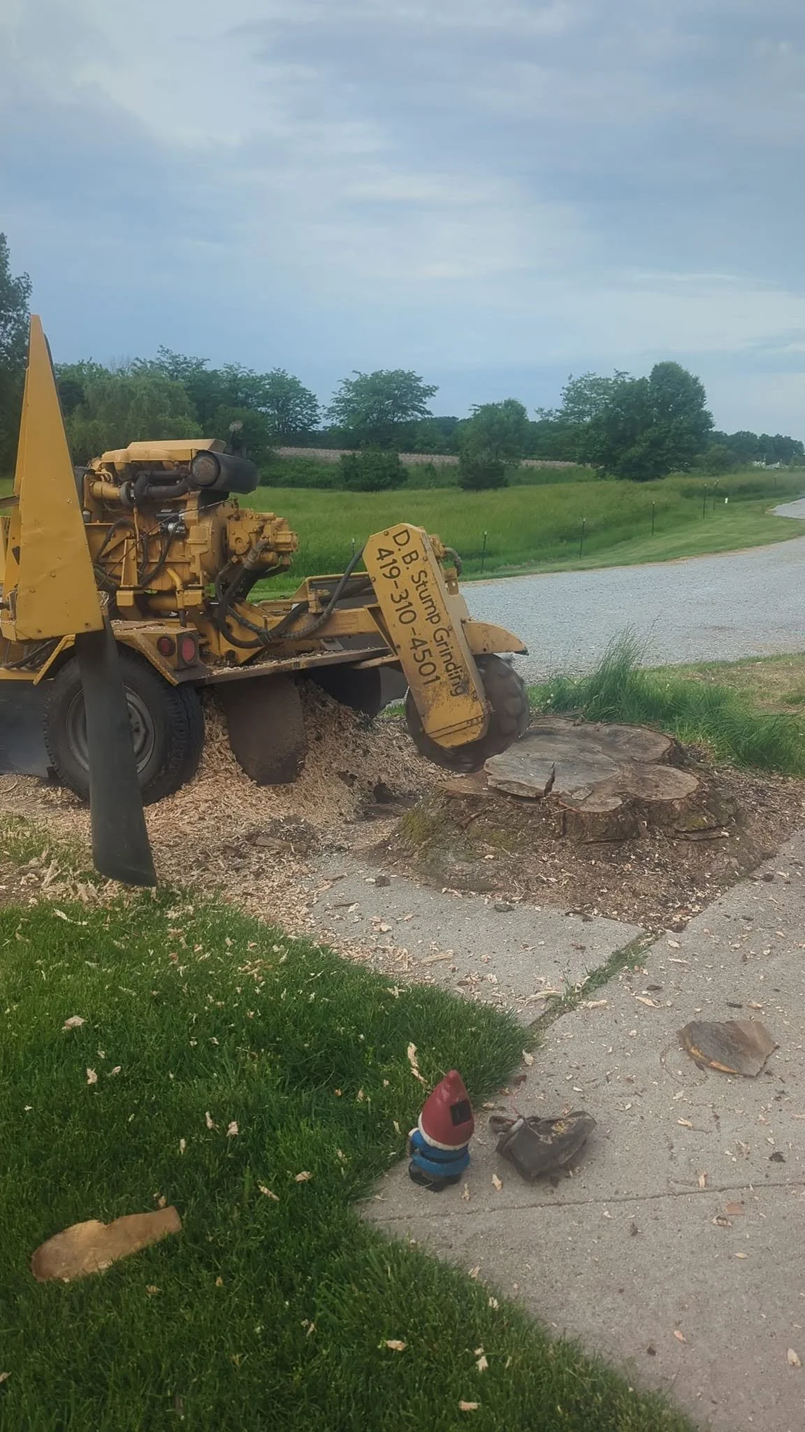 A wood stump being cut with a stump grinder machine on a lawn near a gravel path. There are trees in the background and a cloudy sky overhead.