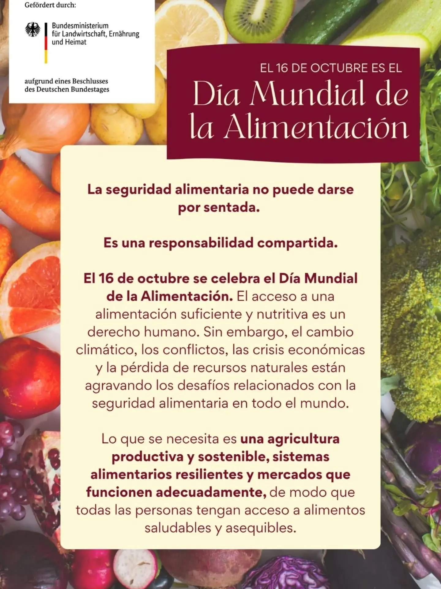 🌾 Junto con el BMLEH celebramos el D&iacute;a Mundial de la Alimentaci&oacute;n el 16 de octubre.

La agroecolog&iacute;a no es solo una forma de producir: es una apuesta campesina, comunitaria y territorial por la soberan&iacute;a alimentaria y la 