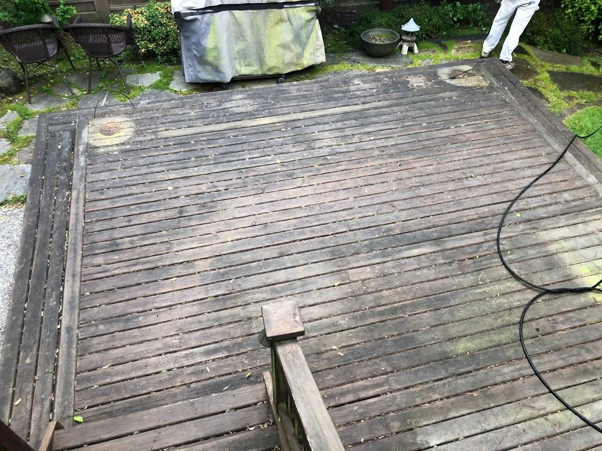 Before ... look how dirty and mossy it is!