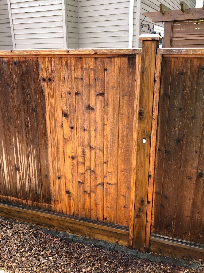 Pressure washing this fence before staining!