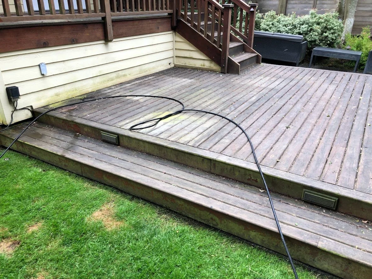 Before ... look how dirty and mossy it is!