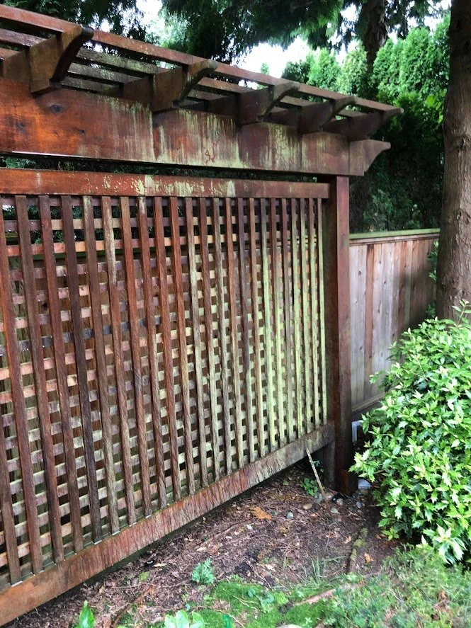 Before ... look at all that mildew!