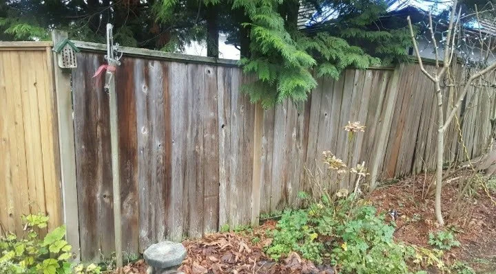 The client ripped this old fence out before building the new fence that we stained.