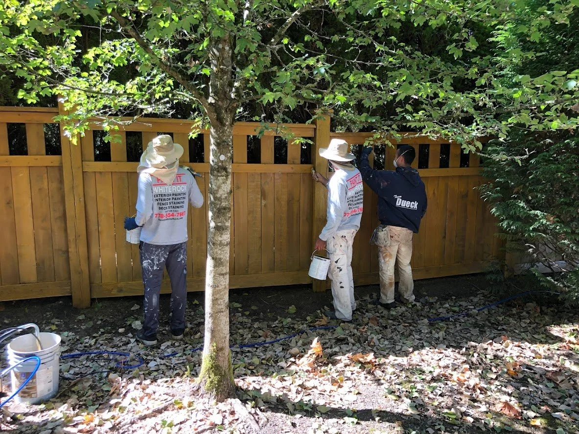 After pressure washing, spraying on the stain and then back brushing!