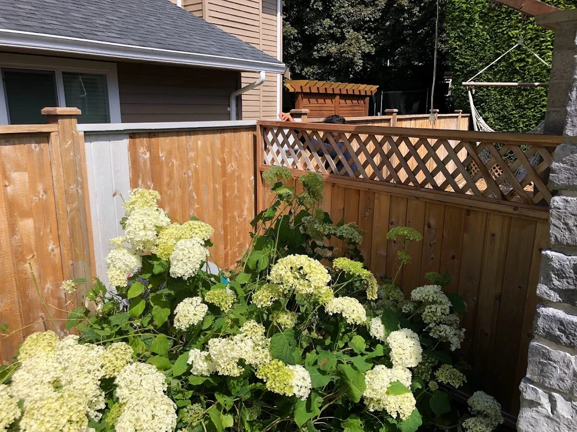 After pressure washing, starting to stain!
