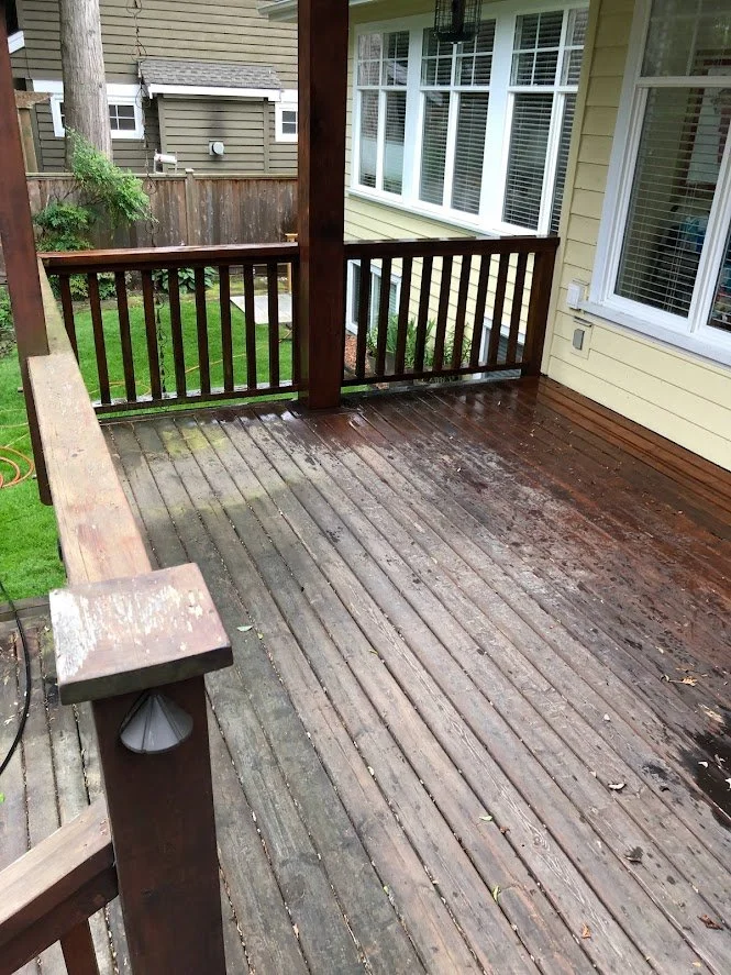 Before ... look how dirty and mossy it is!