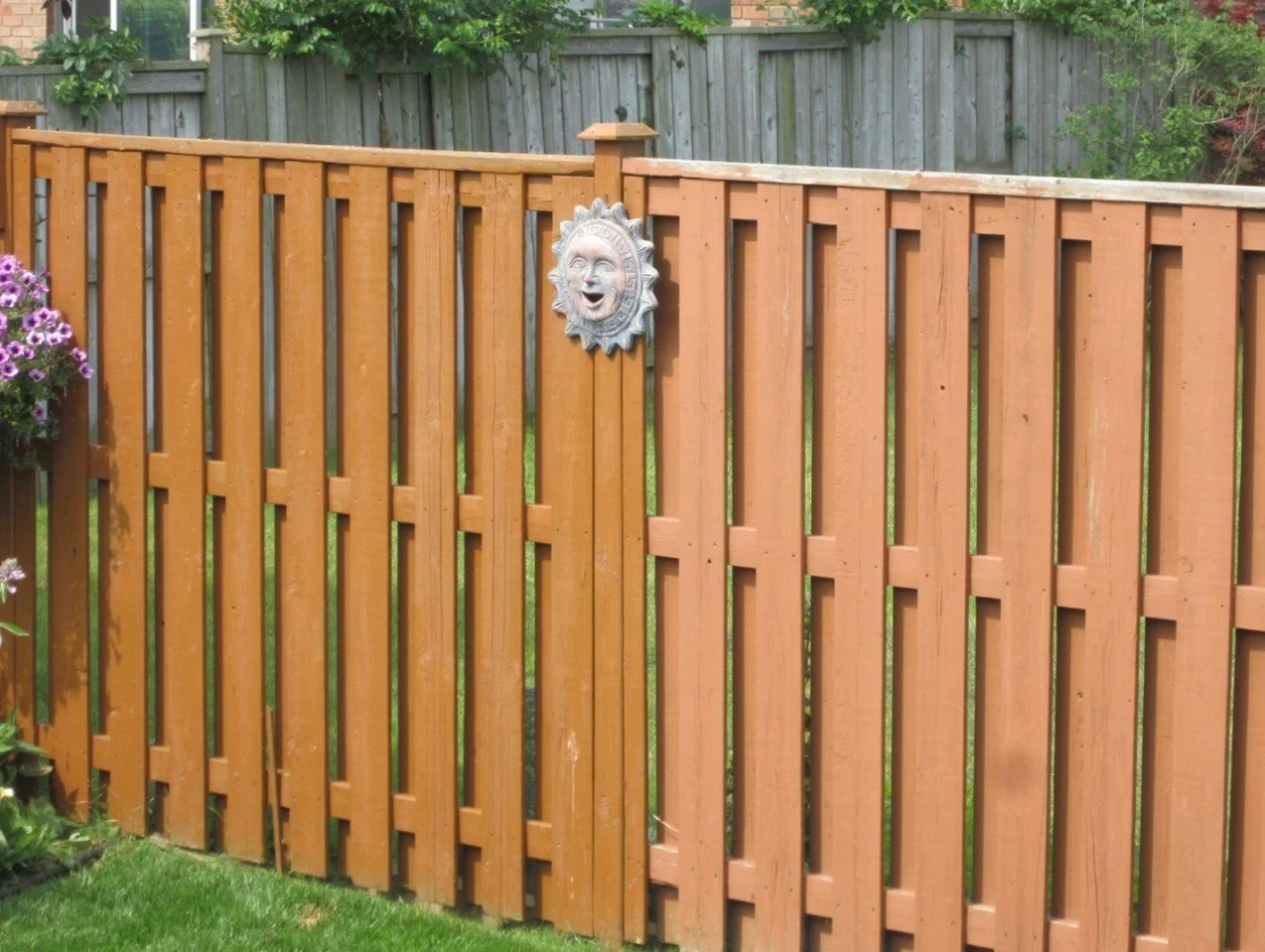 Mid-staining! You can see the old previous fence on the right, and the fresh new stain on the left!